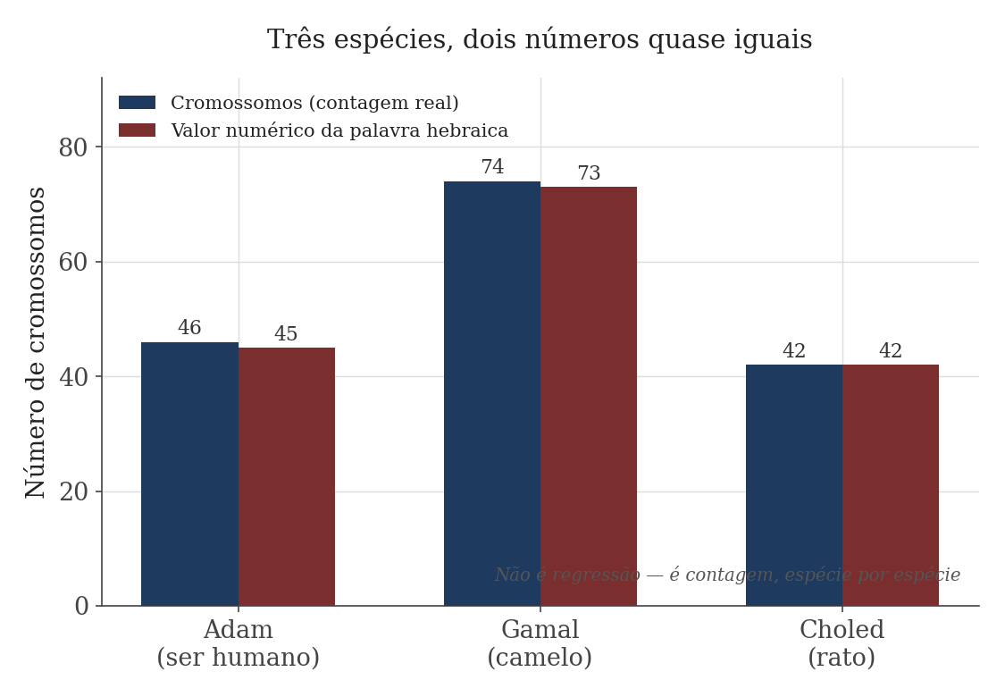 Gráfico comparando o número real de cromossomos de ser humano, camelo e rato com o valor numérico das palavras hebraicas correspondentes